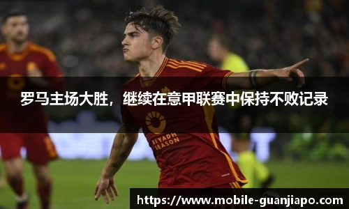 管家婆官网资料