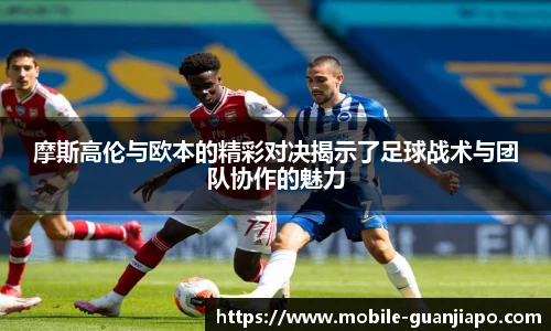 管家婆官网资料