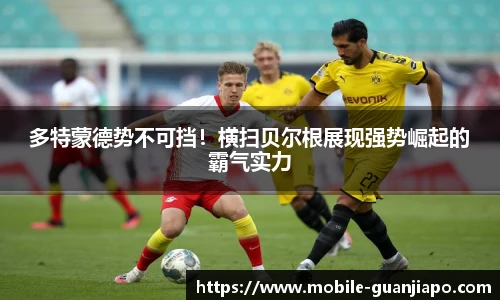 管家婆官网资料